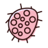 virus virus